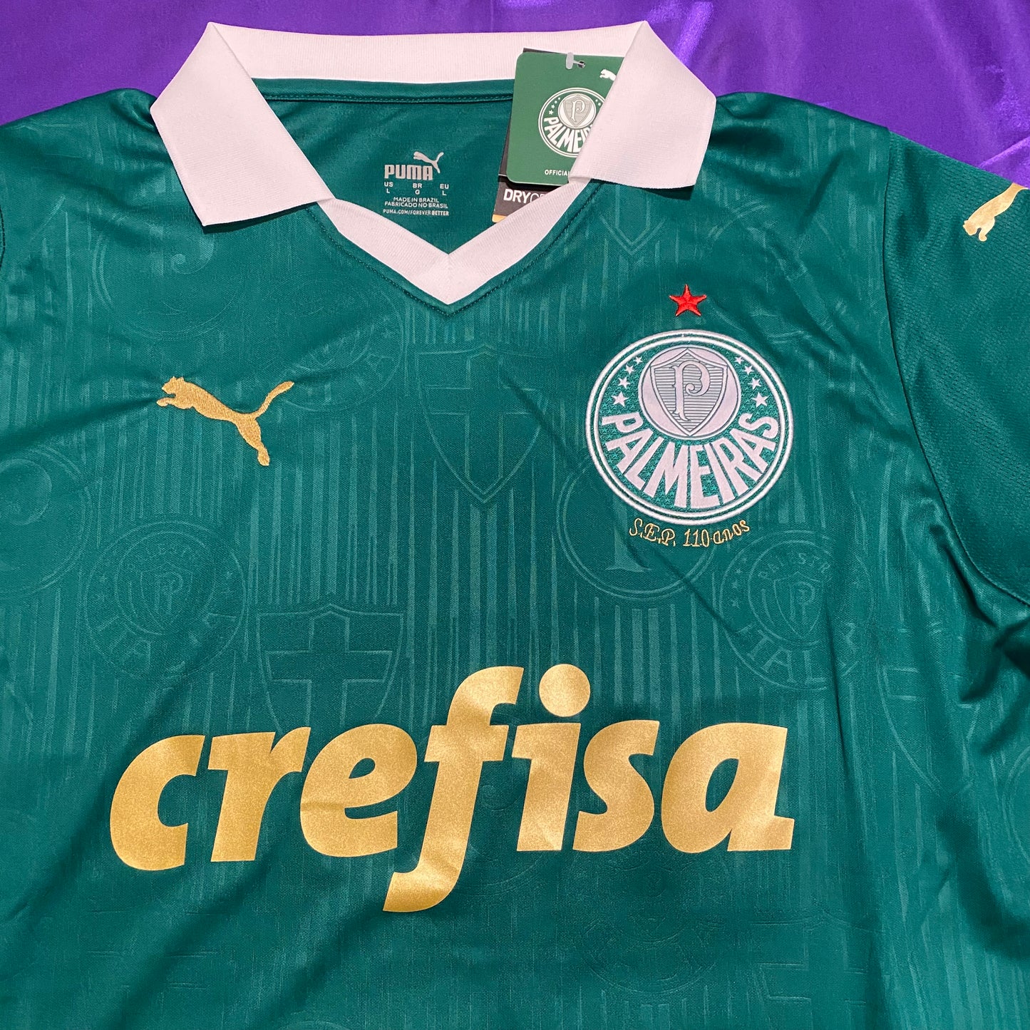 puma PALMEIRAS 24/25 サッカーシャツ ユニフォーム