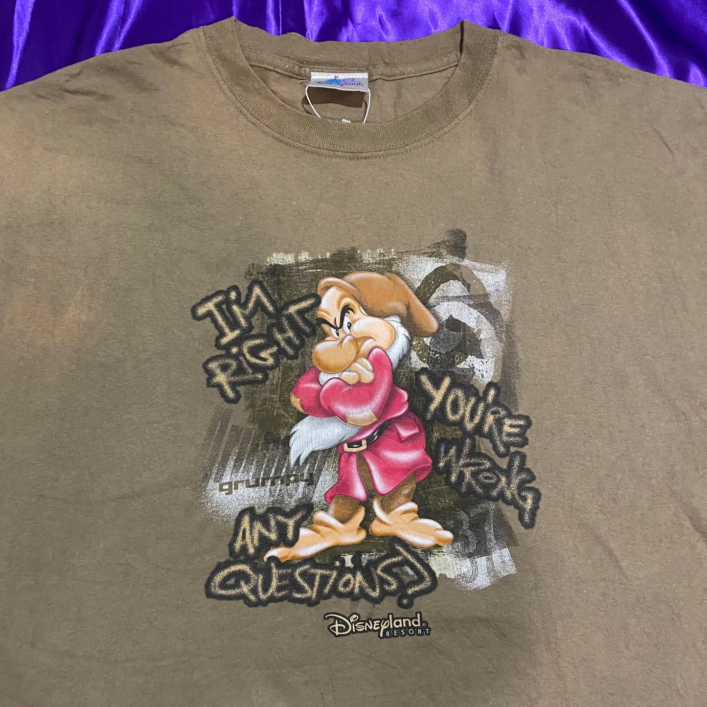 Disney Grumpy S/S T-shirt